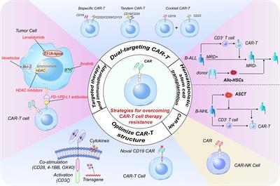 Editorial: The mechanism and novel strategies of overcoming resistance of hematological malignancies to CAR-T cell killing
